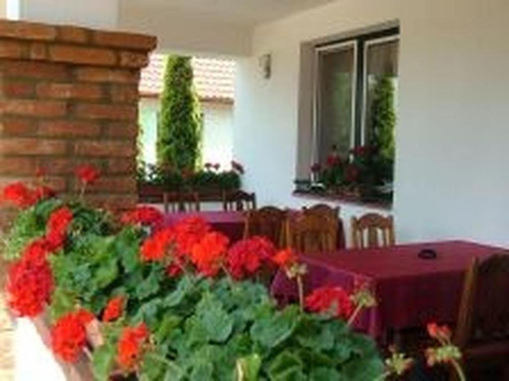 Bed and Breakfast Verba Tanya Kotaj Екстер'єр фото