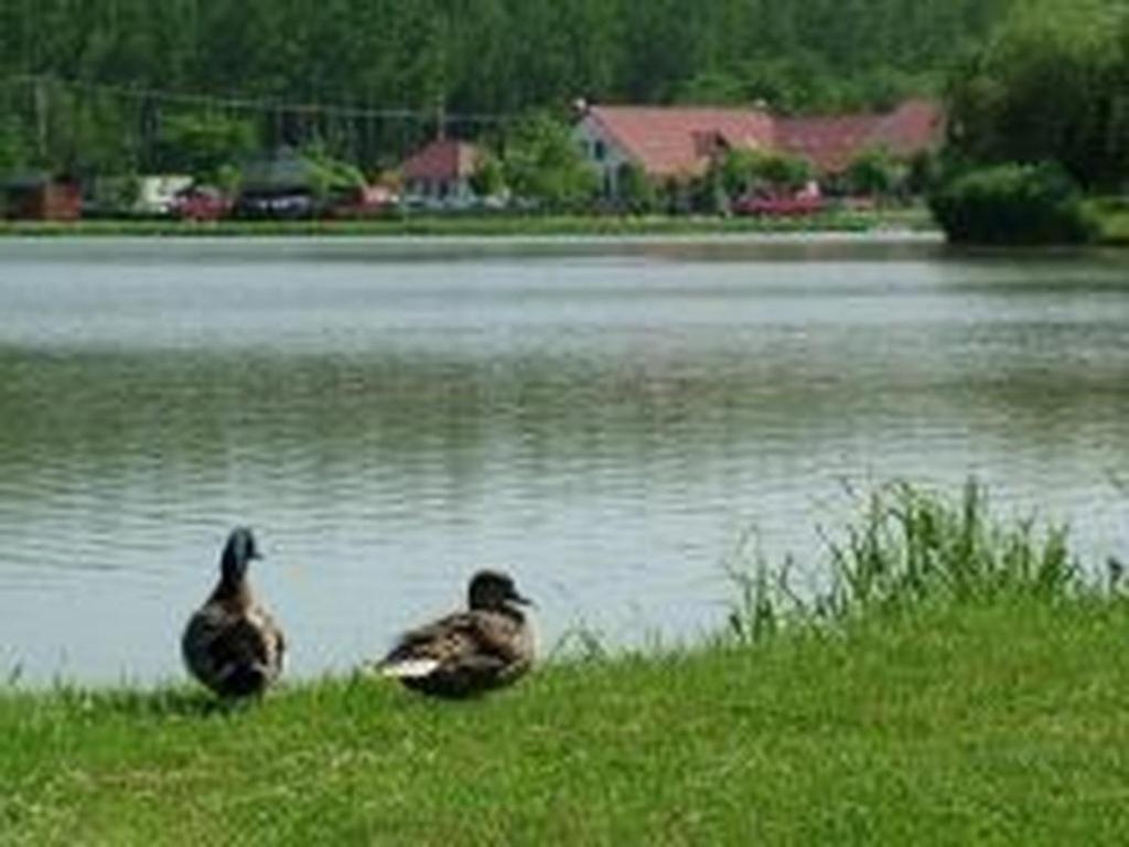 Bed and Breakfast Verba Tanya Kotaj Екстер'єр фото
